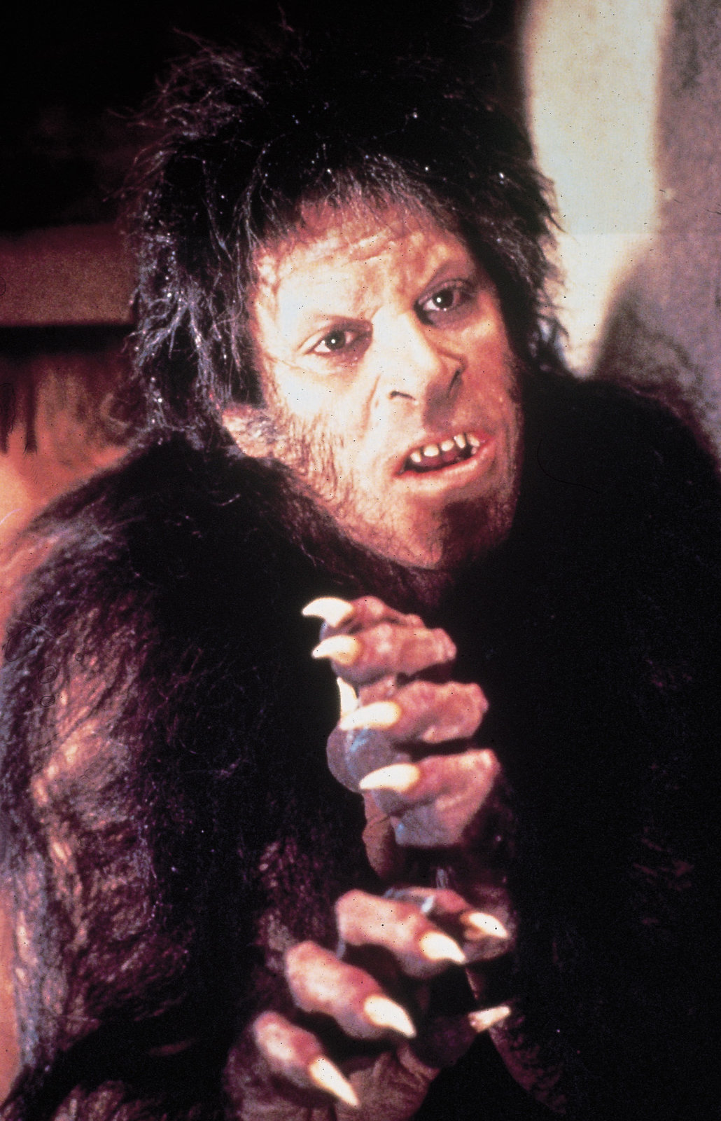 American Werewolf - Uncut Steelbook Edition  (4K Ultra HD+blu-ray)
