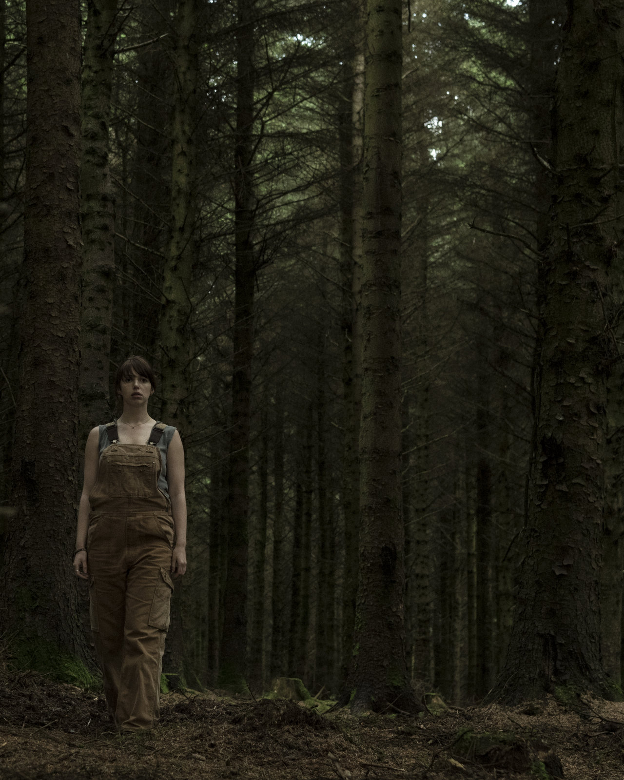 Hole in the Ground, The (blu-ray)