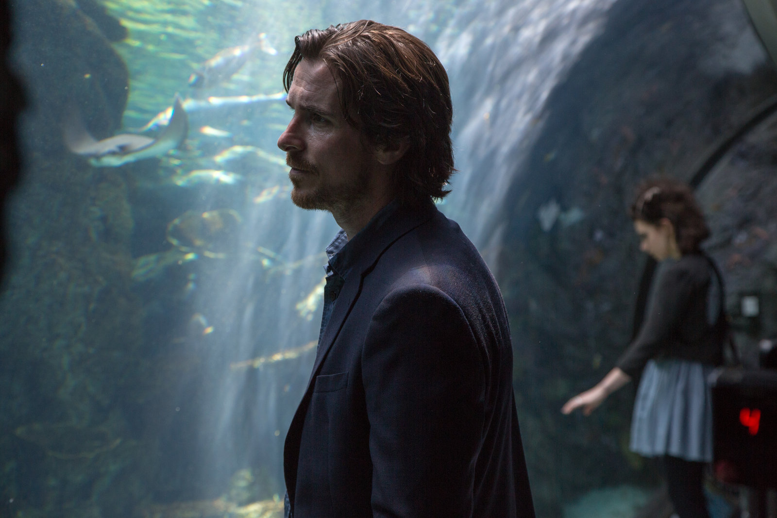 Knight of Cups  (Blu-ray Disc)