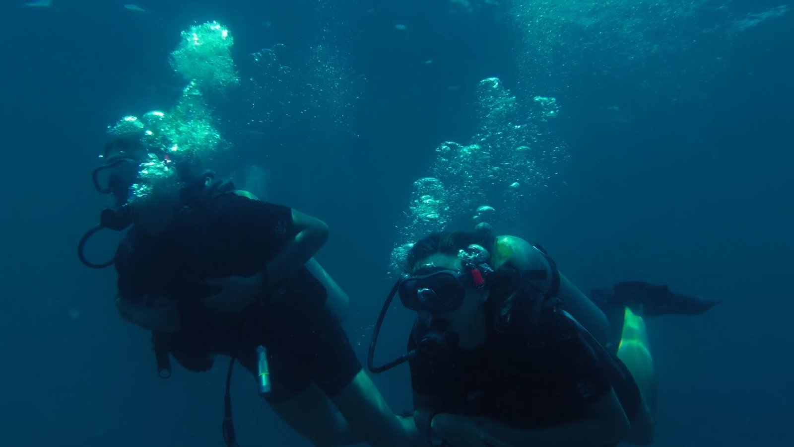 Trapped - Mörderische Tiefe  (DVD)