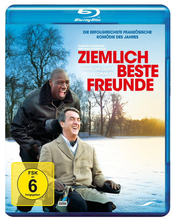 Ziemlich beste Freunde (blu-ray)