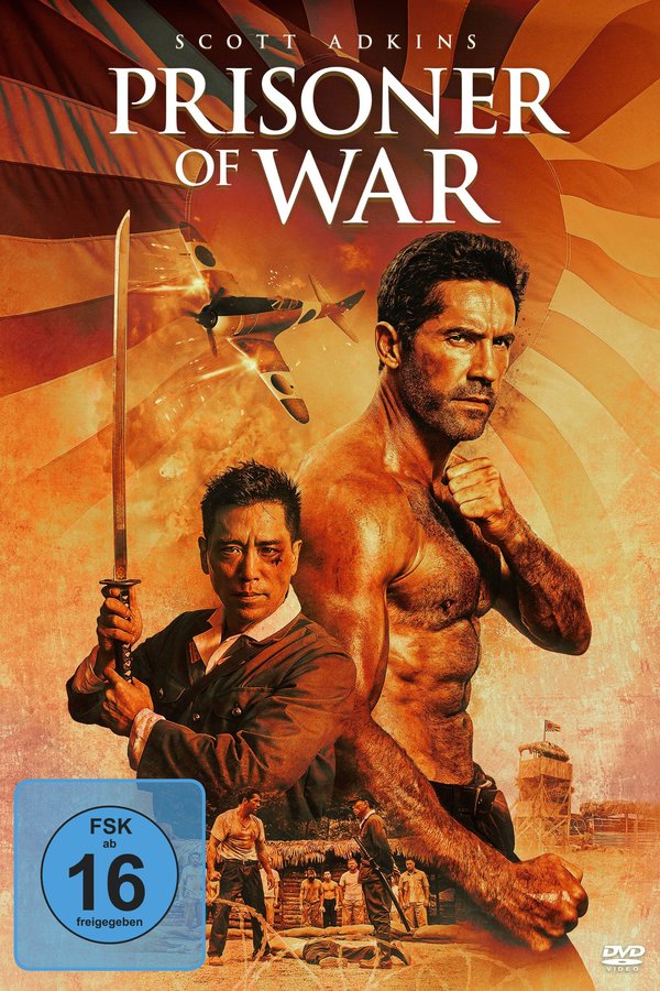 Prisoner of War  (DVD)