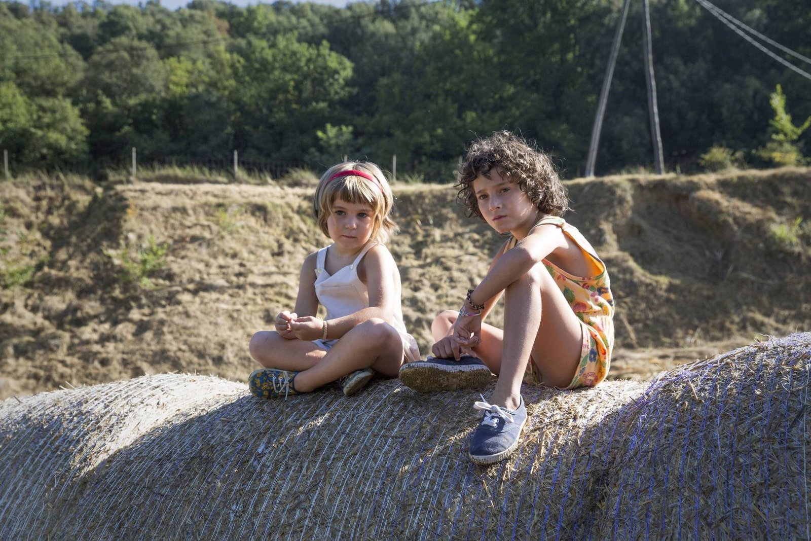 Fridas Sommer  (DVD)
