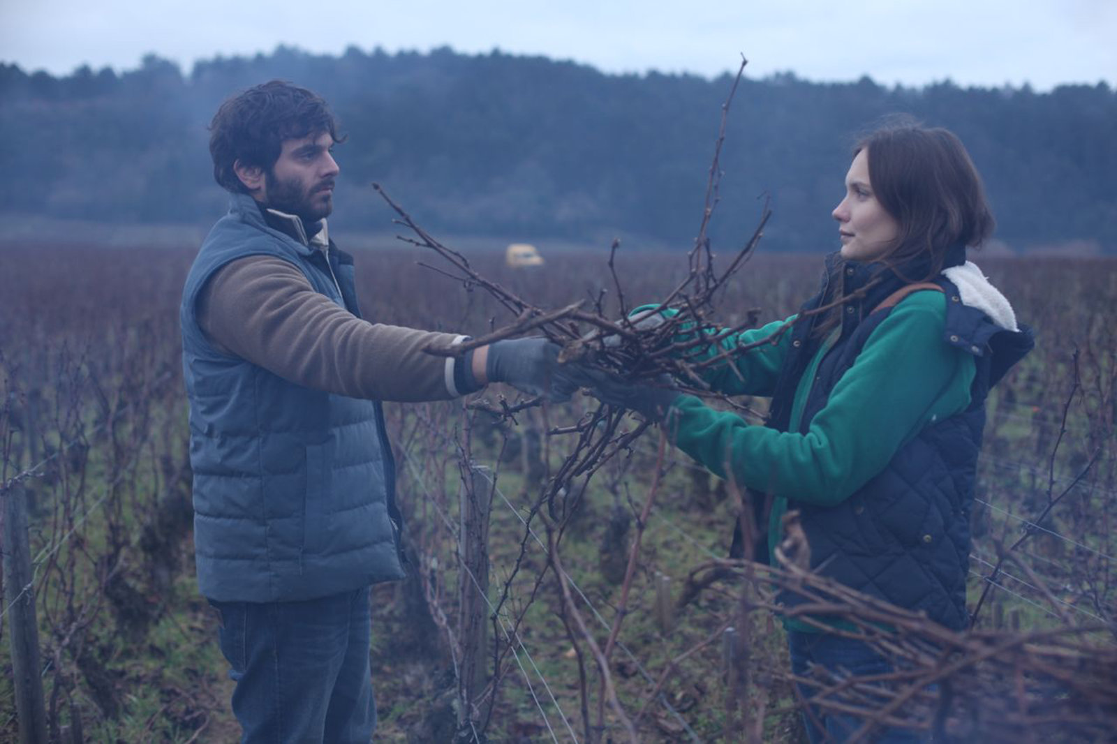 Der Wein und der Wind  (DVD)