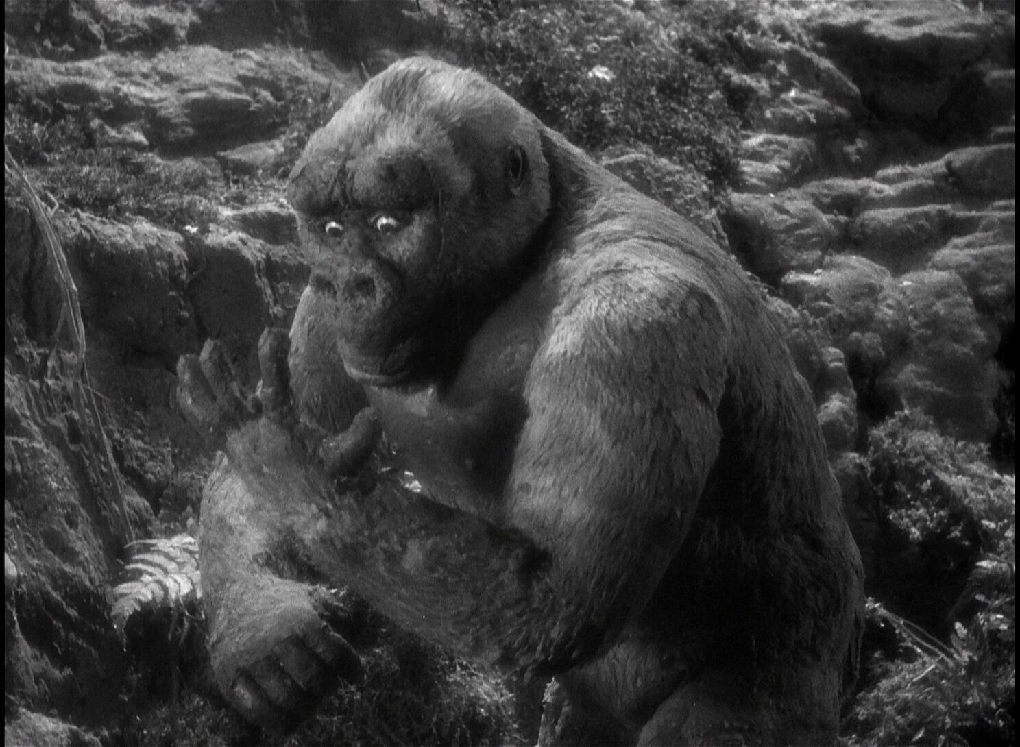 King Kongs Sohn (Son of Kong) - Erstmals mit deutscher Synchronfassung (Filmjuwelen)  (DVD)