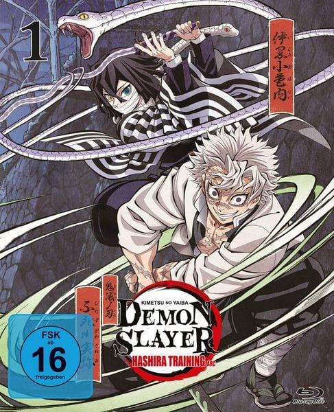 Demon Slayer: Kimetsu no Yaiba Hashira Training Arc - Vol.1  (Blu-ray Disc) Demon Slayer: Kimetsu no Yaiba Hashira Training Arc - Vol.1  (Blu-ray Disc)