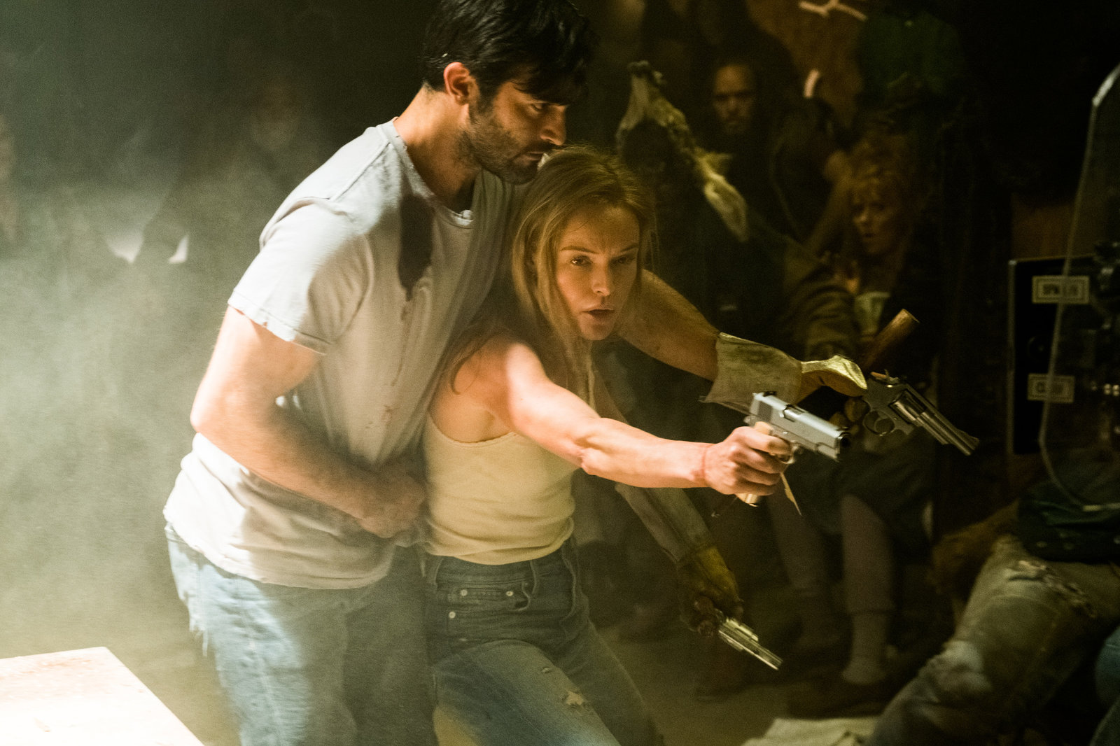 Domestics, The (blu-ray)