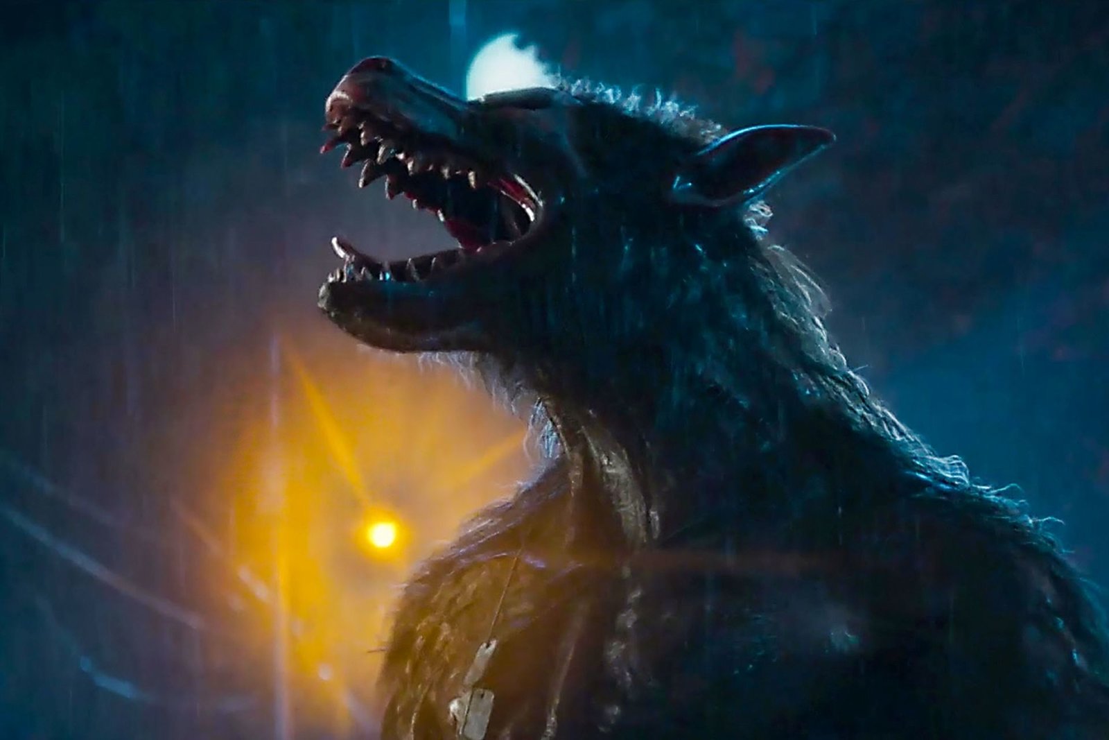 Werewolves  (DVD)