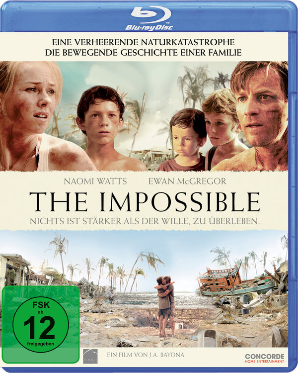Impossible, The (blu-ray)
