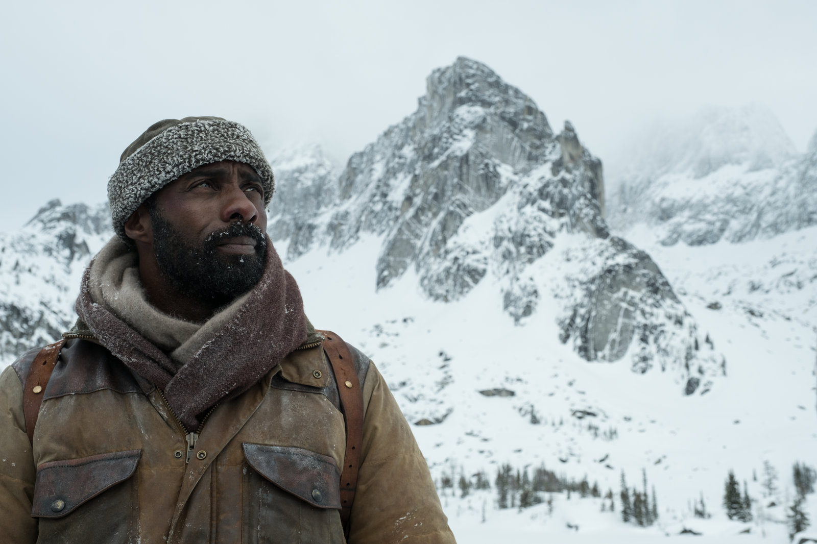 Zwischen zwei Leben - The Mountain Between Us (blu-ray)
