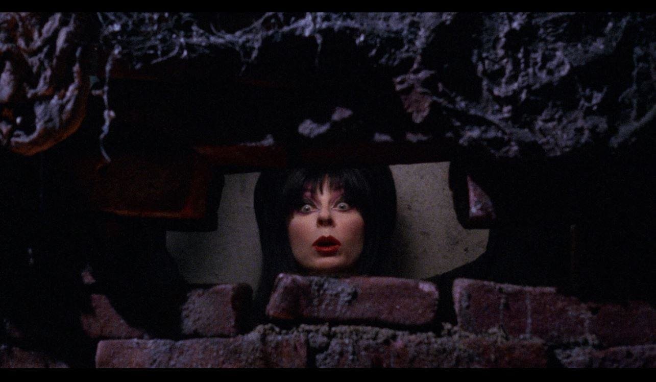 Elvira - Elvira's Haunted Hills - Uncut Mediabook Edition - Limitiert auf 111 Stück  (+ Bonus-DVD mit weiterem Horrorfilm)  (blu-ray)