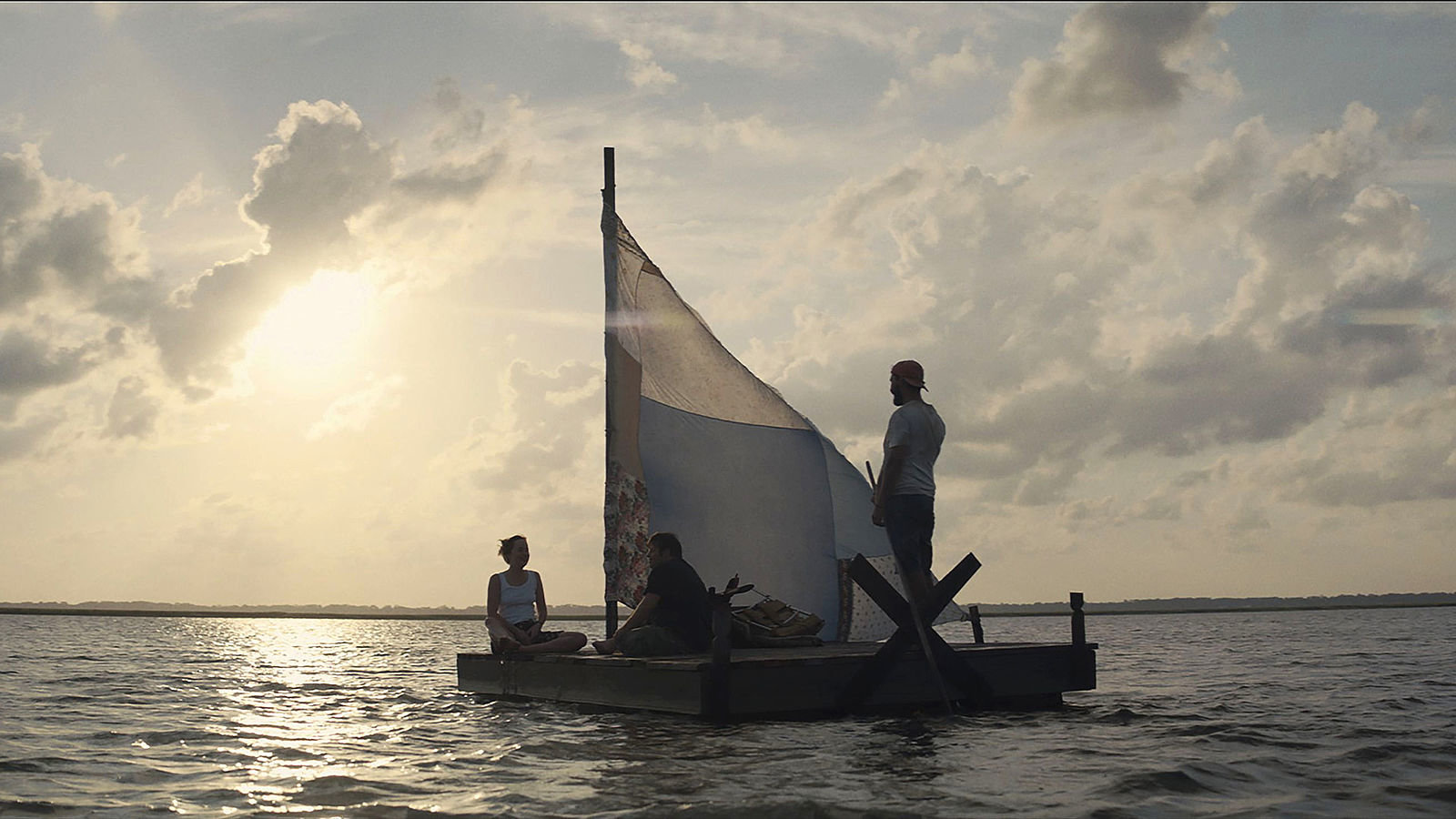 The Peanut Butter Falcon  (Blu-ray Disc)