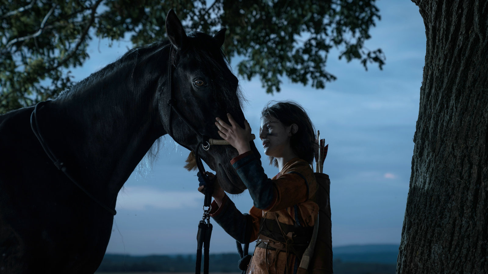 Ostwind - Aris Ankunft  (DVD)