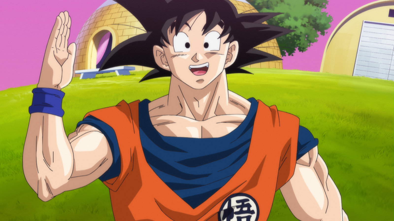 Dragonball Z - Kampf der Götter  (Blu-ray Disc)