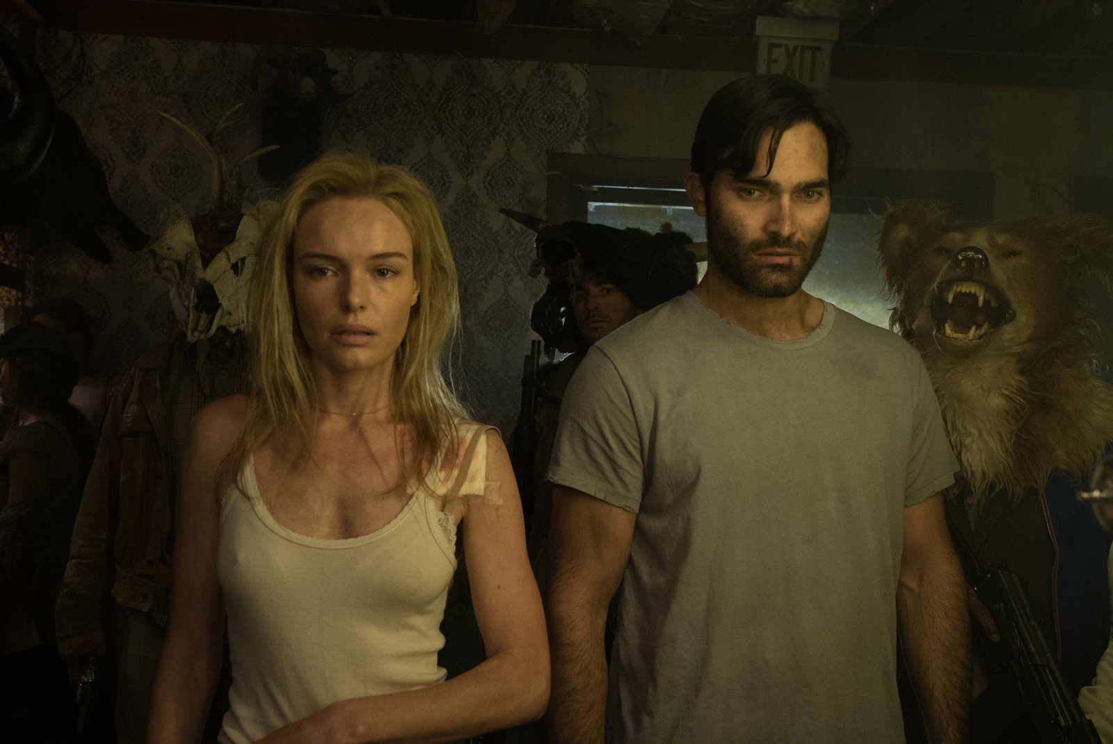 Domestics, The (blu-ray)