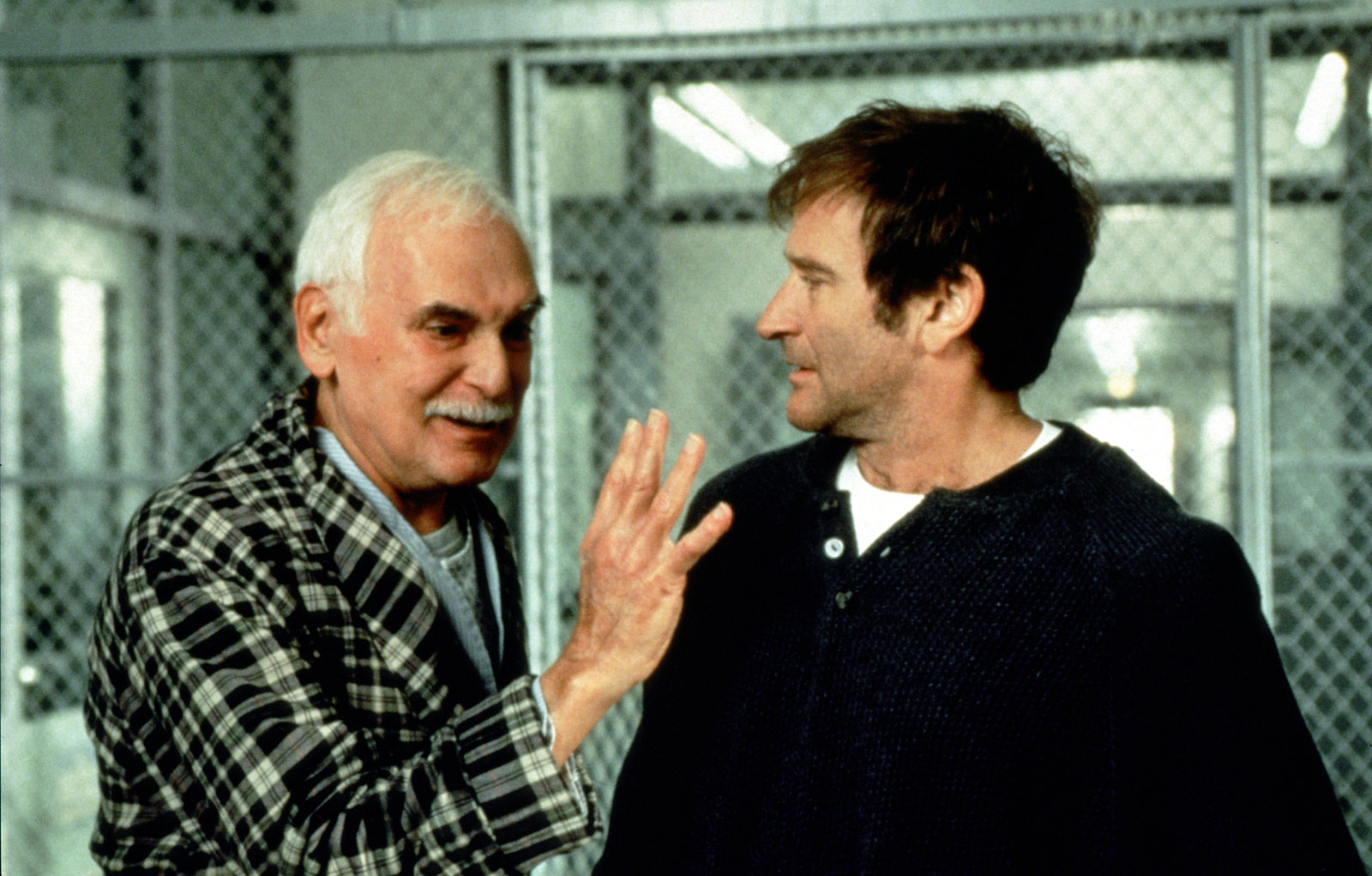 Patch Adams  (DVD)
