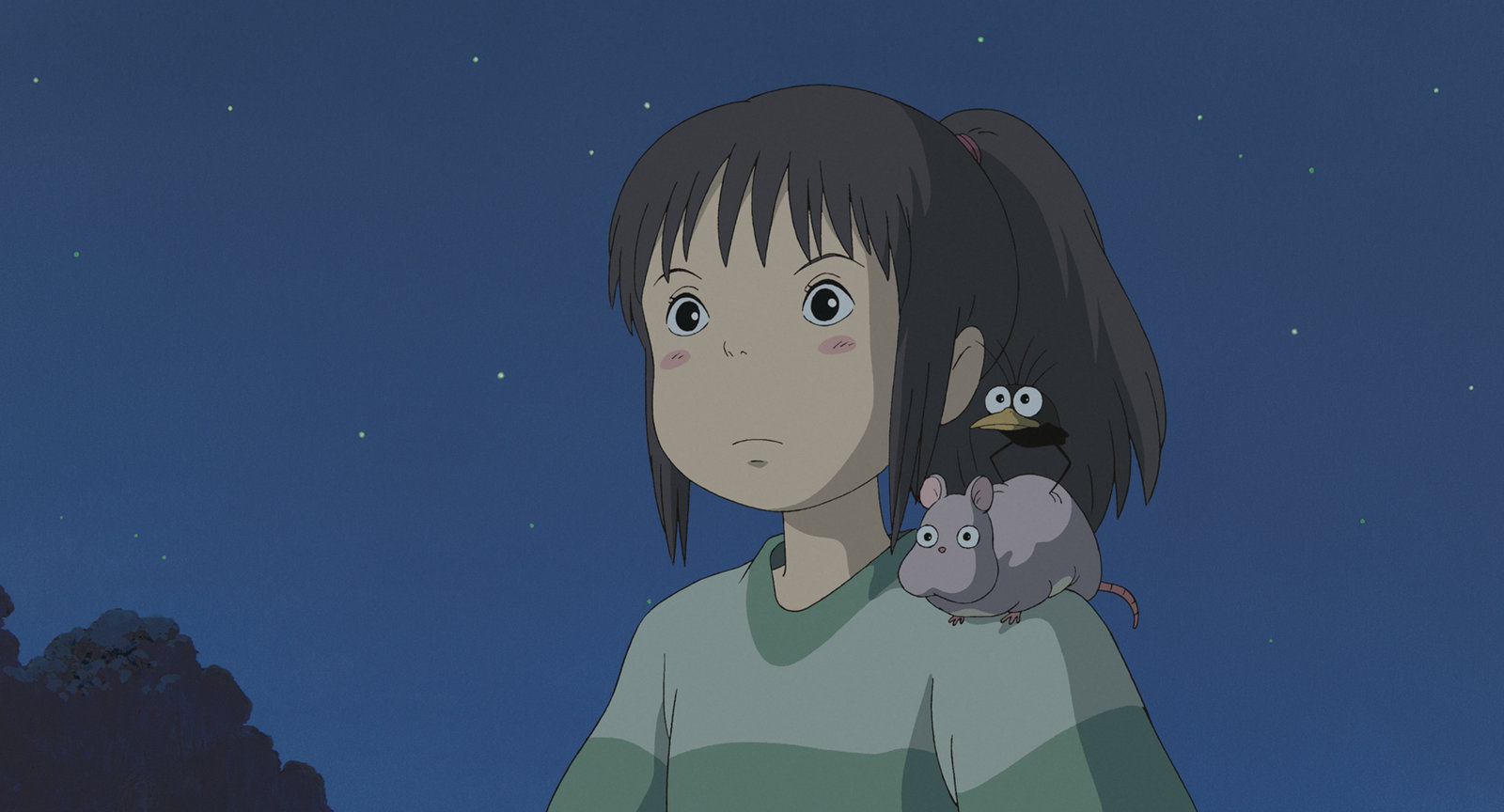 Chihiros Reise ins Zauberland  (DVD)