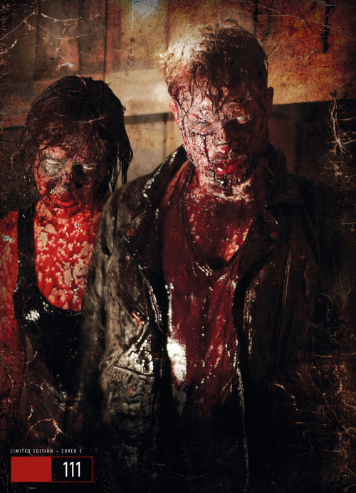 Wither - Cabin of the Dead - Uncut Mediabook Edition  (DVD+blu-ray) (E)