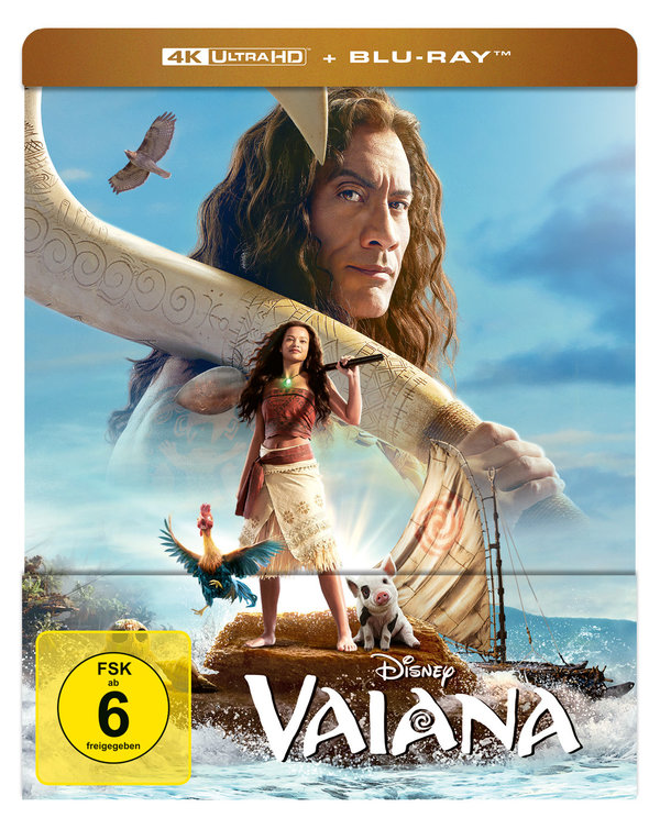 Vaiana  (DVD)