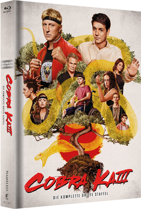 Cobra Kai - Staffel 3 - Limited Mediabook Edition (DVD+blu-ray) (A - Original)