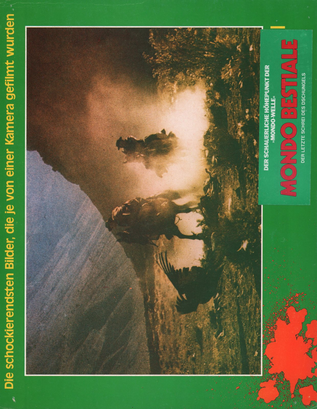 MONDO BESTIALE - DER LETZTE SCHREI DES DSCHUNGELS - Cover B  (DVD)