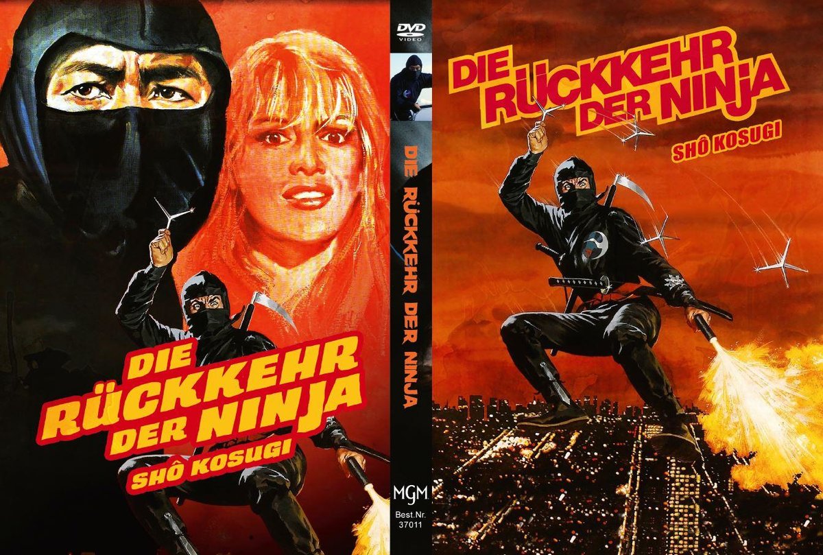 Rückkehr der Ninja, Die Rückkehr der Ninja, Die