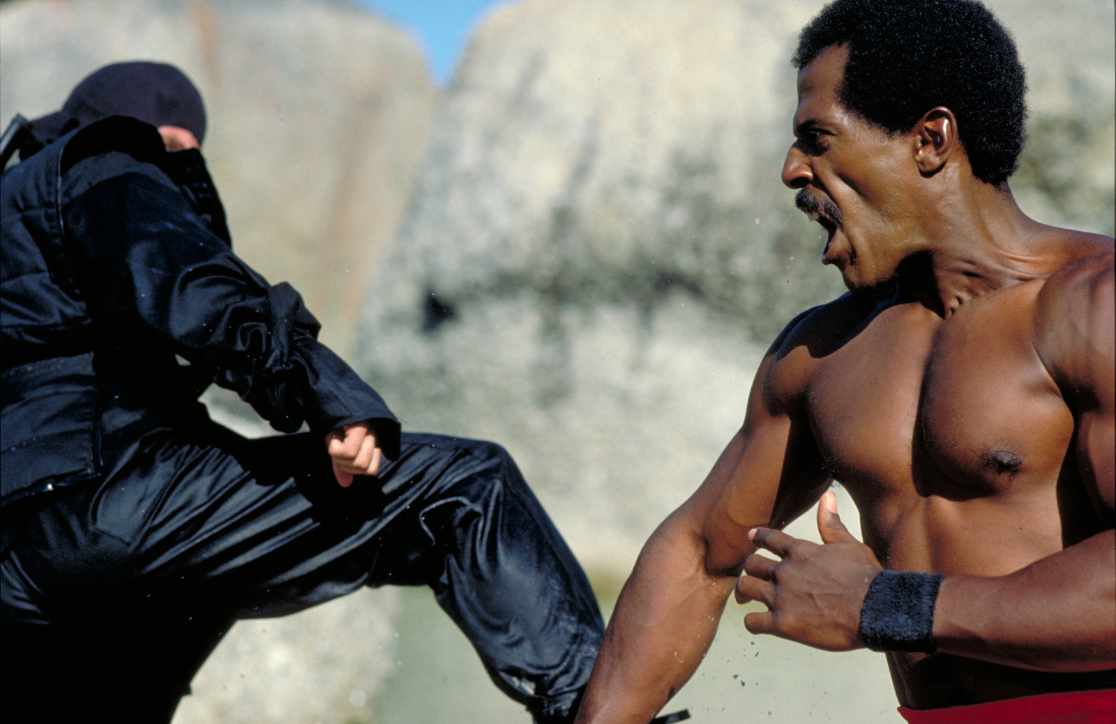 American Fighter 2 - Der Auftrag  (DVD)