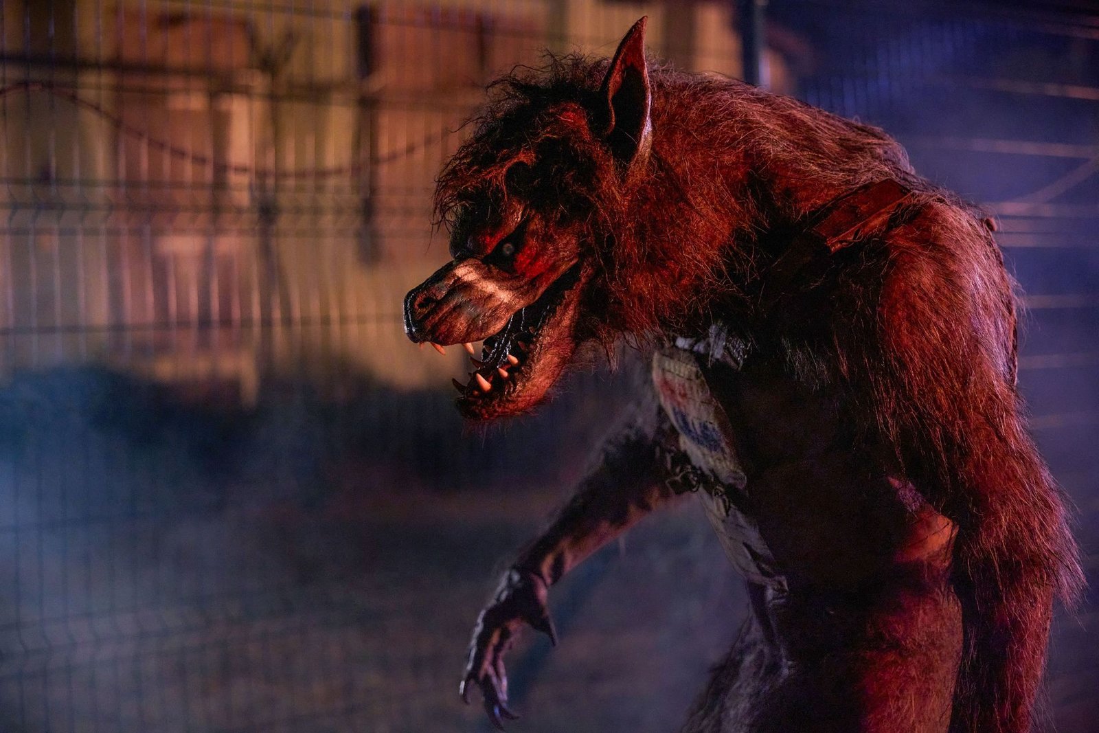 Werewolves  (DVD)
