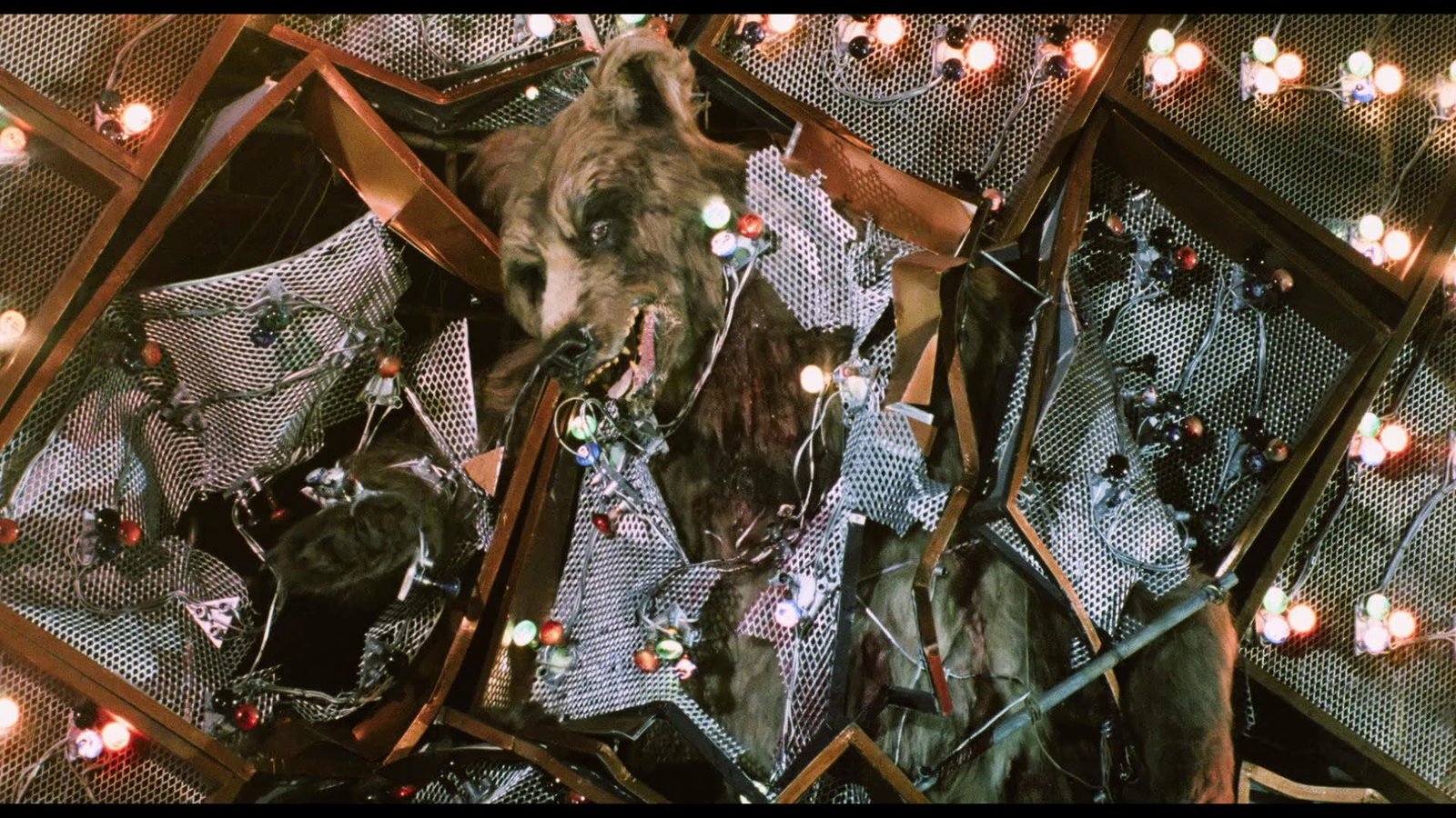 Grizzly 2 - SchleFaZ - 3 Disc Edition mit Booklet - Cover B - LImited Edition auf 500 Stück  (Blu-ray Disc) Grizzly 2 - SchleFaZ - 3 Disc Edition mit Booklet - Cover B - LImited Edition auf 500 Stück  (Blu-ray Disc)