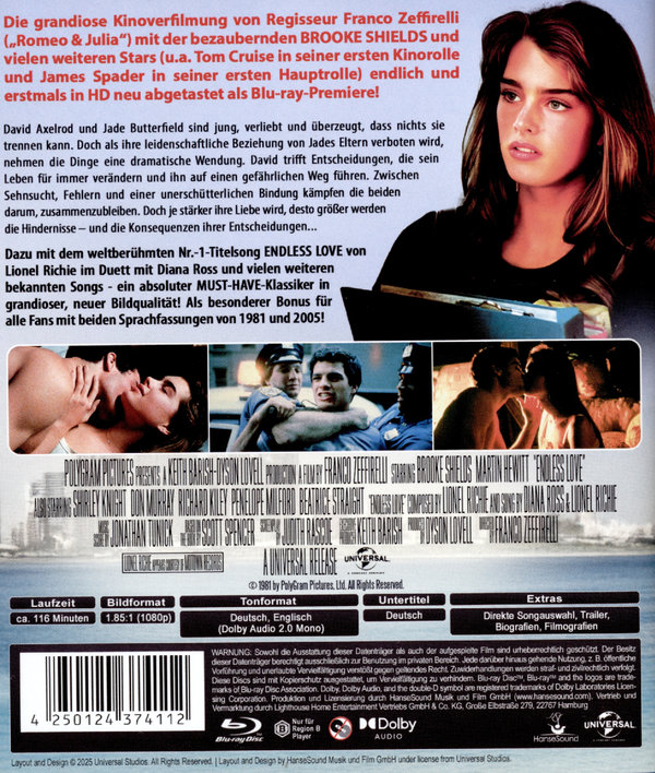 Endless Love  (Blu-ray Disc)