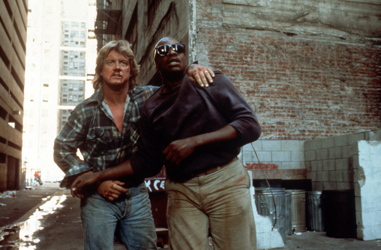 Sie leben!  (4K Ultra HD+Blu-ray)