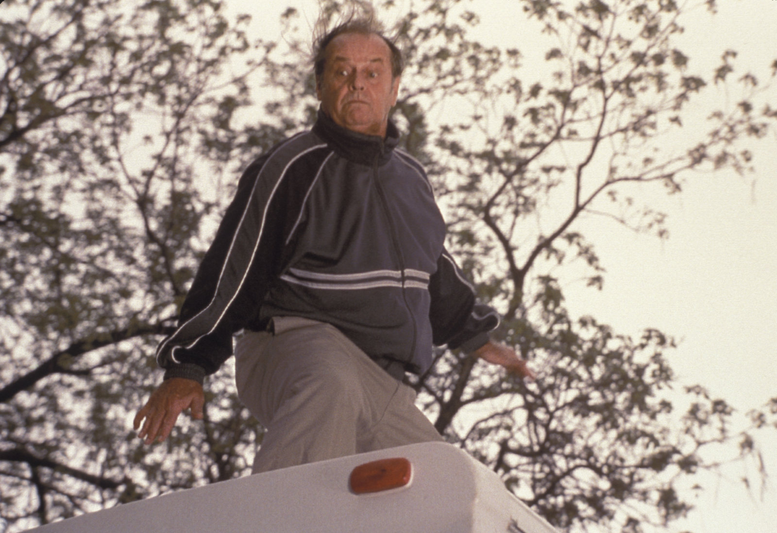 About Schmidt  (DVD)
