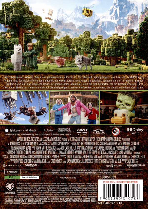 Ein Minecraft Film  (DVD)