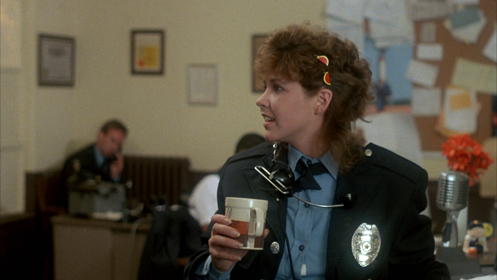 Police Patrol  (DVD)