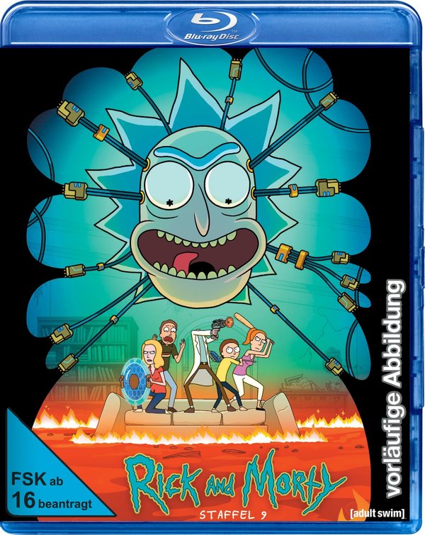Rick and Morty: Die komplette 9. Staffel  (Blu-ray Disc)