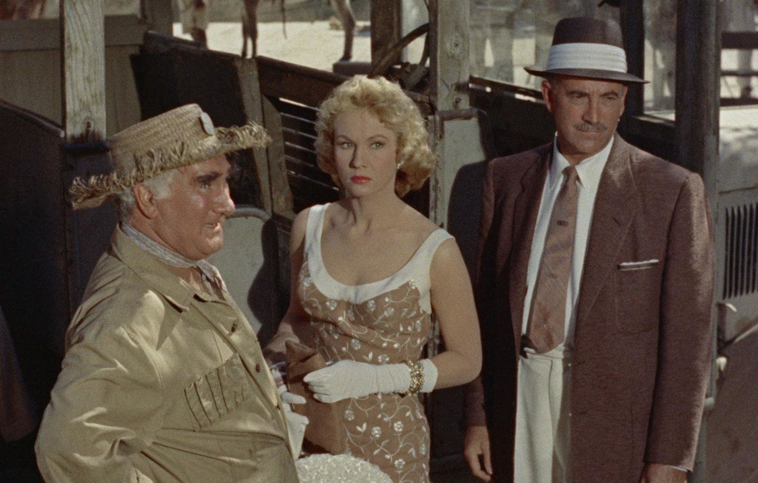 Blutroter Kongo (blu-ray)