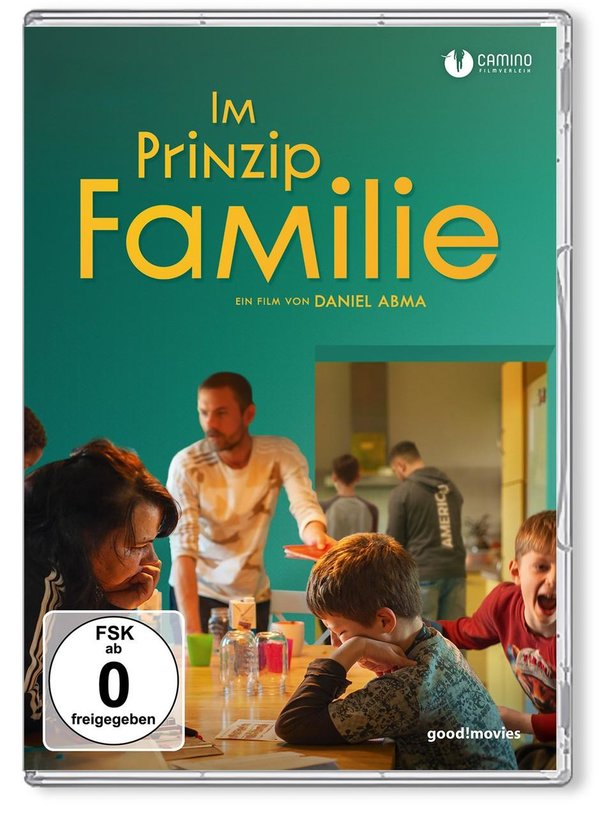 Im Prinzip Familie  (DVD)