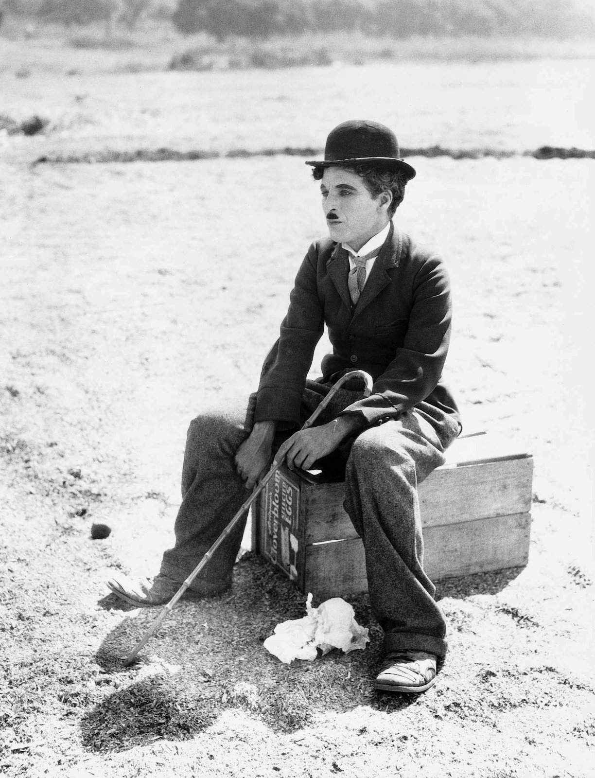 Charlie Chaplin - Der Zirkus  (DVD)