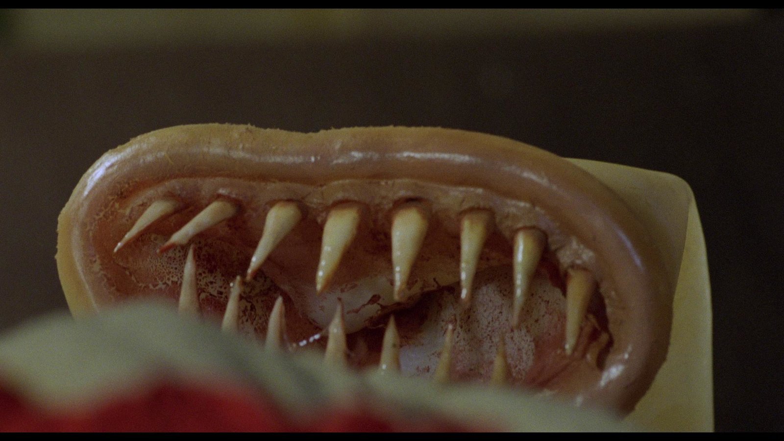 Kondom des Grauens - Directors Cut Mediabook Edition  (4K Ultra HD+blu-ray) (A)