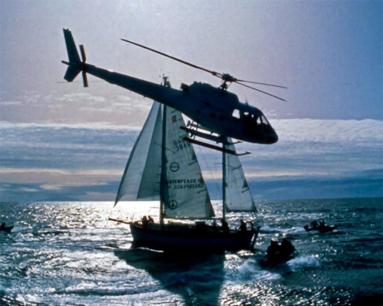 Anschlag auf die Rainbow Warrior / Starbesetztes und fesselndes Dokudrama nach wahren Begebenheiten (Pidax Historien-Klassiker)  (DVD)