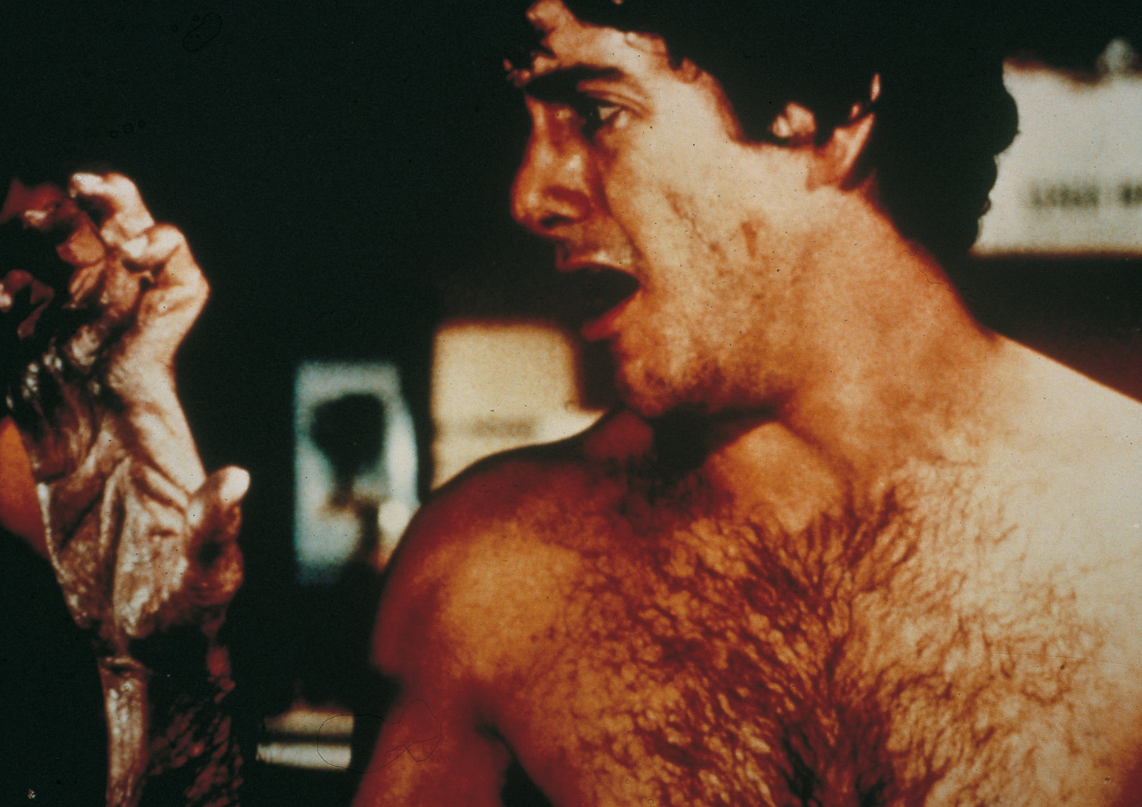 American Werewolf - Uncut Steelbook Edition  (4K Ultra HD+blu-ray)