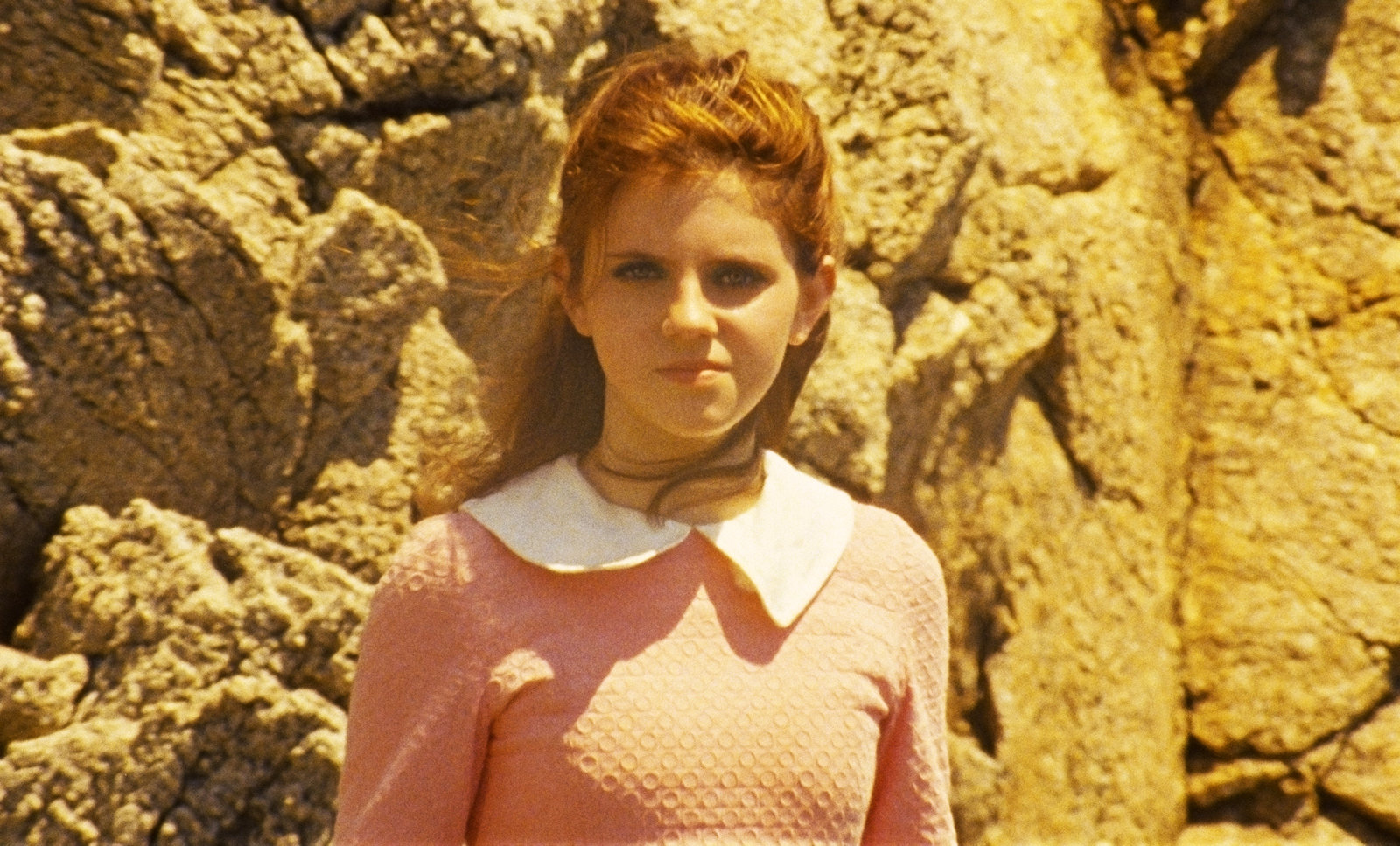 Moonrise Kingdom  (Blu-ray Disc)
