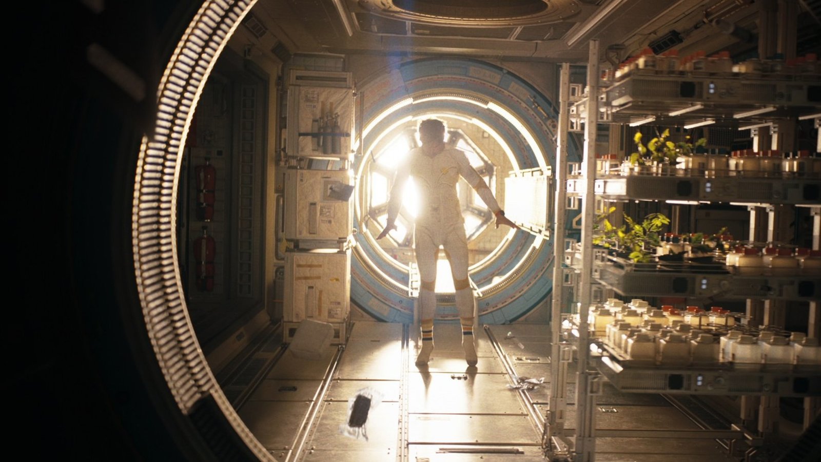 Der Astronaut  (DVD)