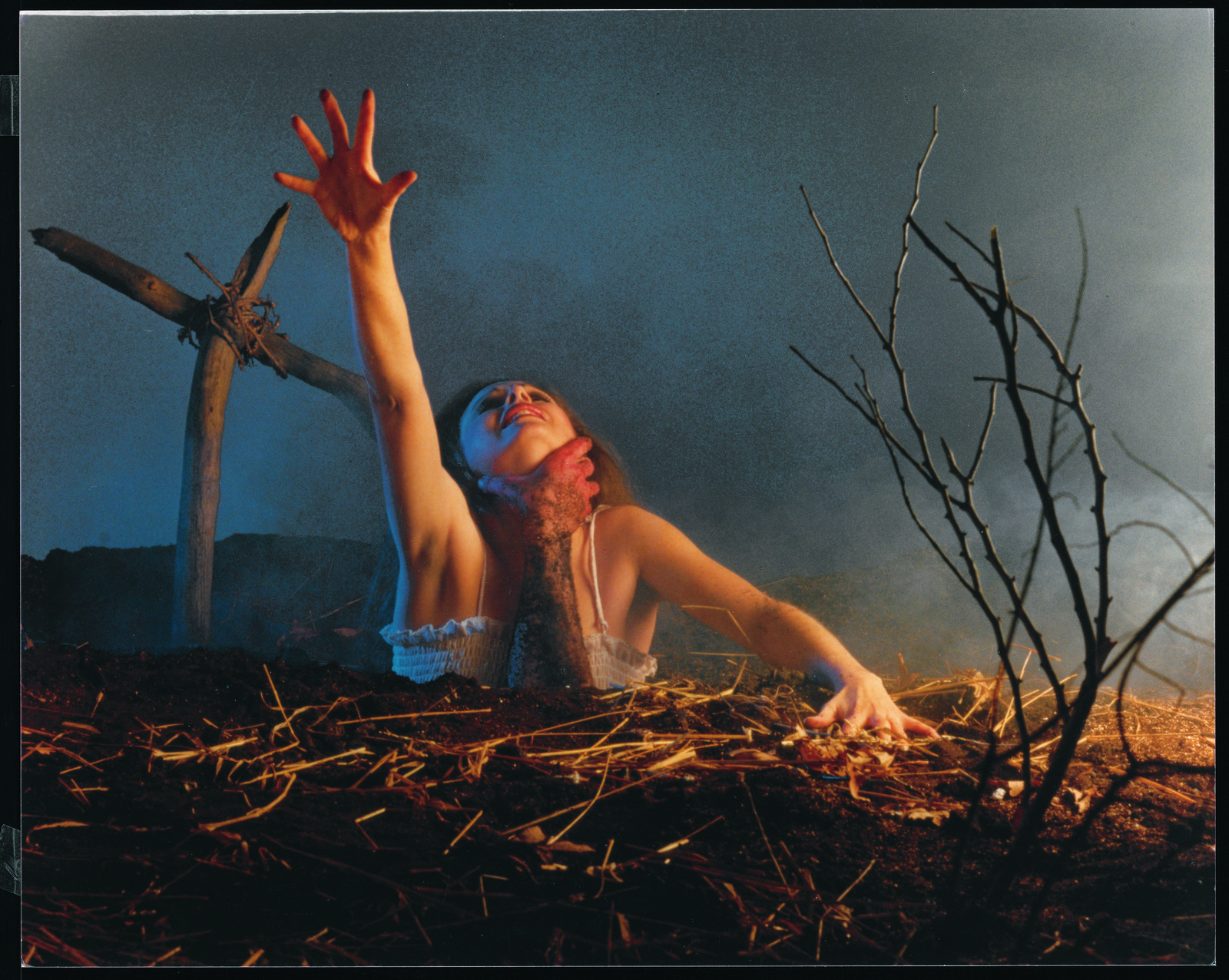 Tanz der Teufel - Evil Dead - Das Original (blu-ray)