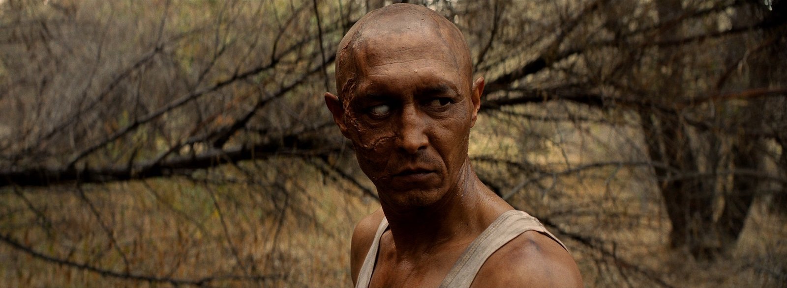 Sweetie, you wont believe it - Uncut Edition