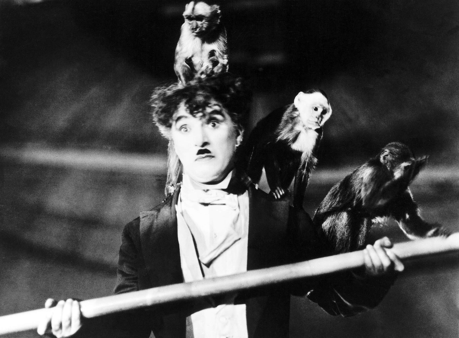 Charlie Chaplin - Der Zirkus  (DVD)