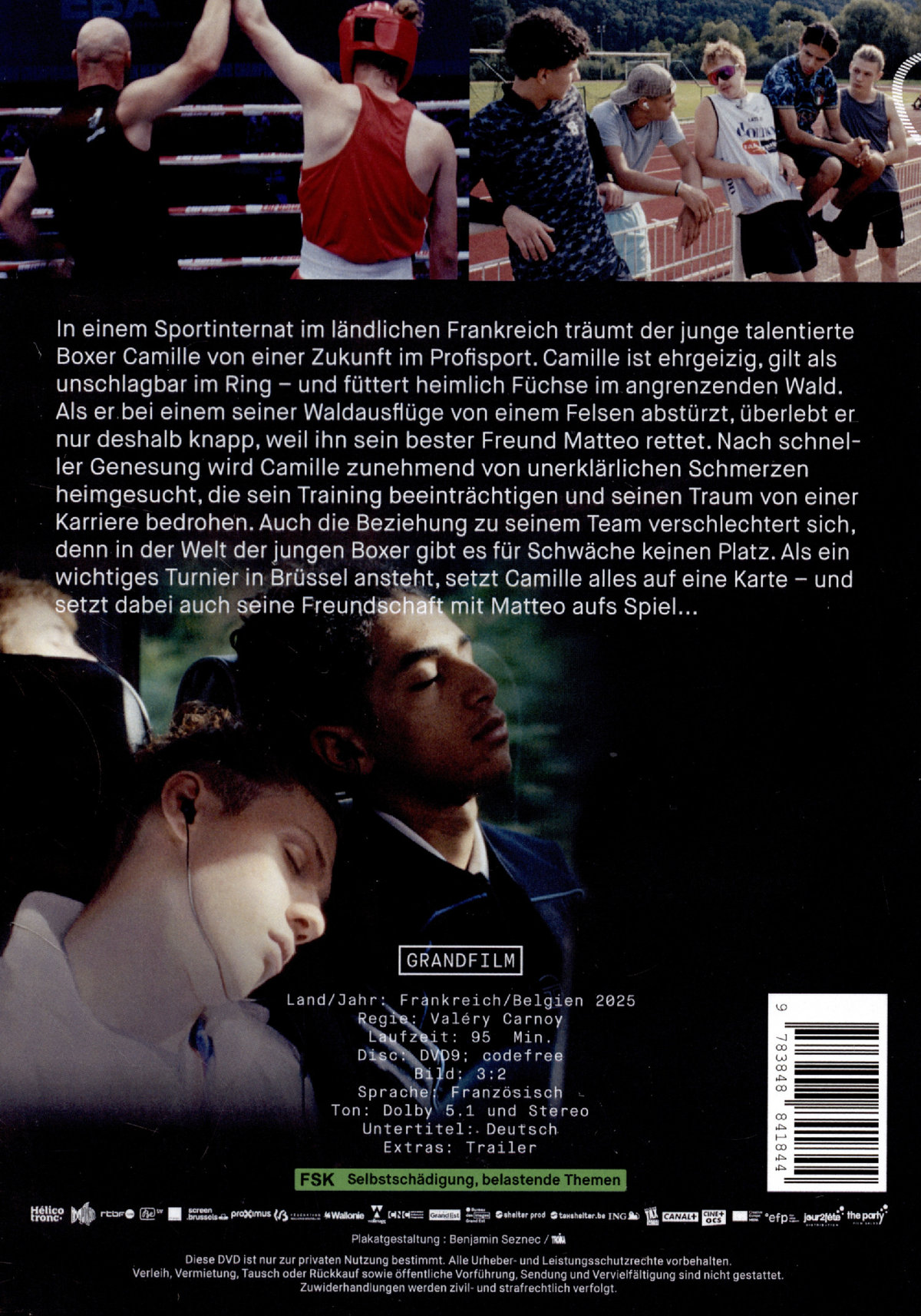 Wild Foxes (OmU)  (DVD)