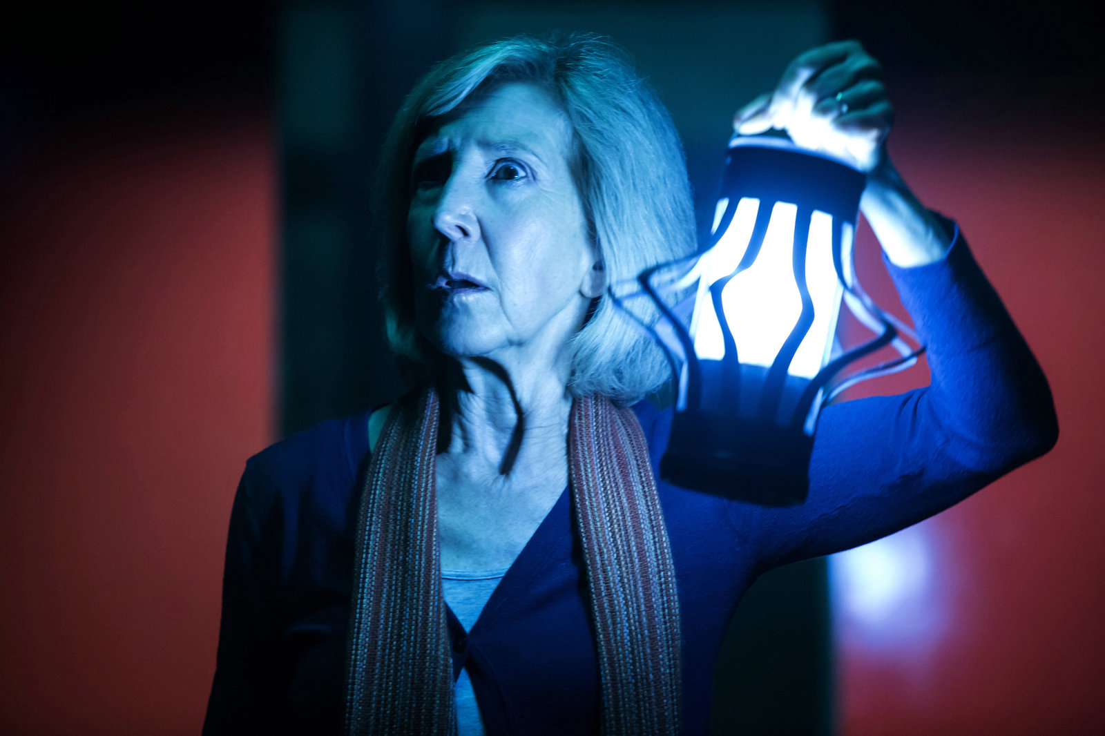 Insidious: Chapter 3  (DVD)