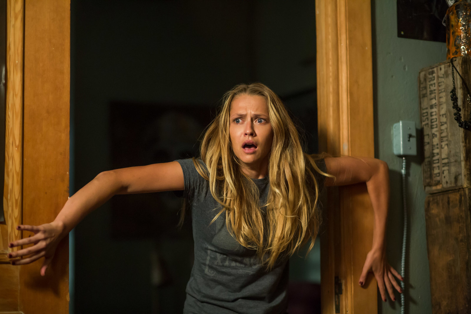 Lights Out  (DVD)