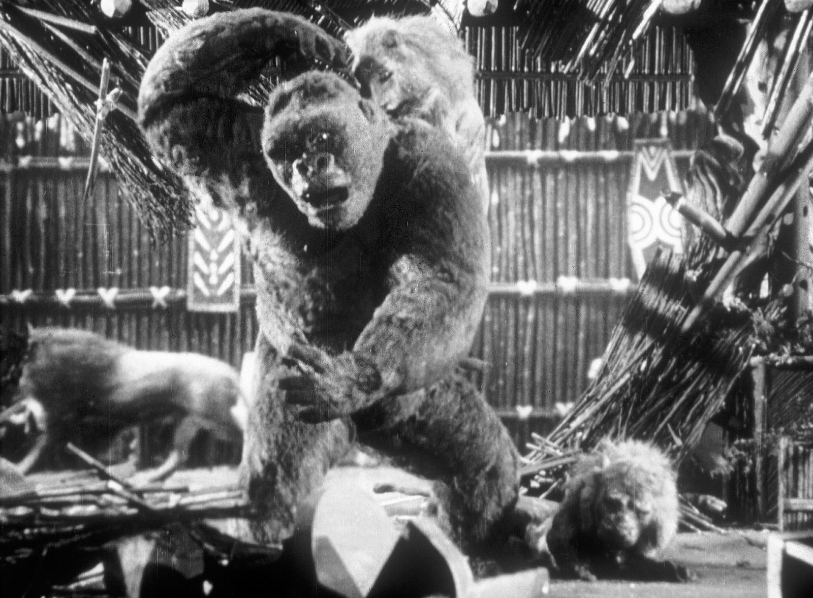 Panik um King Kong (Mighty Joe Young) (Filmjuwelen)  (Blu-ray Disc)